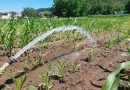 Успешна испитивања на изворишту „Шипад”: Потврђен потенцијал за изградњу новог бунара Успешна испитивања на изворишту „Шипад”: Потврђен потенцијал за изградњу новог бунара