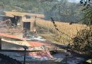 Прва линија хуманости: Из пепела до наде Прва линија хуманости: Из пепела до наде